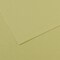Canson Mi-Teintes Drawing Papers - 8-1/2" x 11", Light Green, 25 Sheets